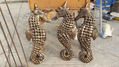 Caballitos de Mar