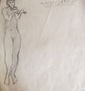 estudio del moderno/ matisse/ violinista