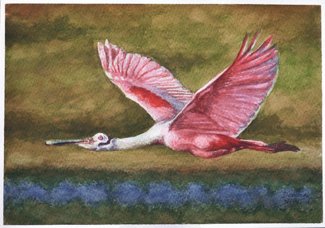 Aves Watercolour Card Animals