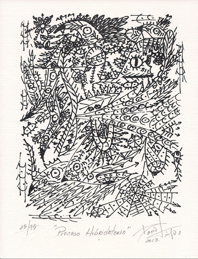 PROCESO HIBRIDATORIO (litografia)