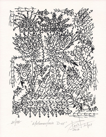 METAMORFOSIS D-M...