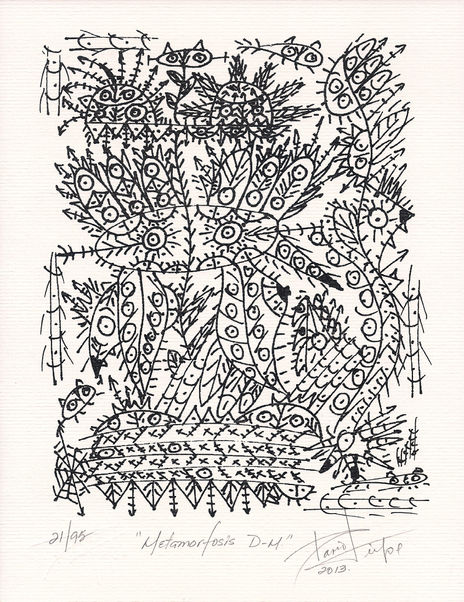 METAMORFOSIS D-M...