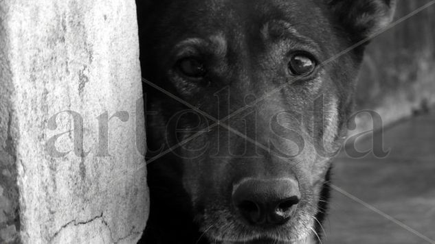 Alfonsina Retrato Blanco y Negro (Digital)