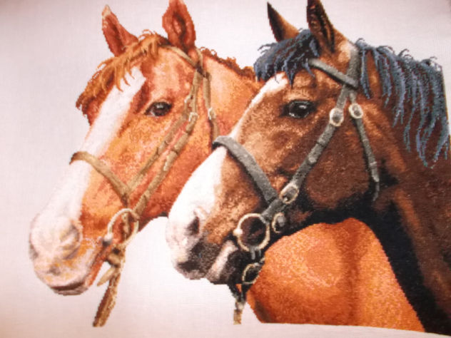 retrato de dos caballos