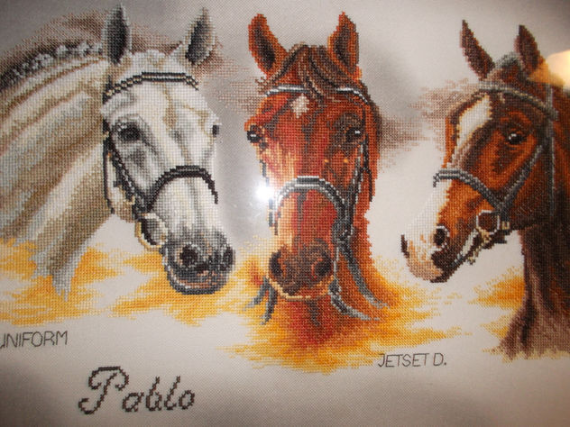 retrato de tres caballos