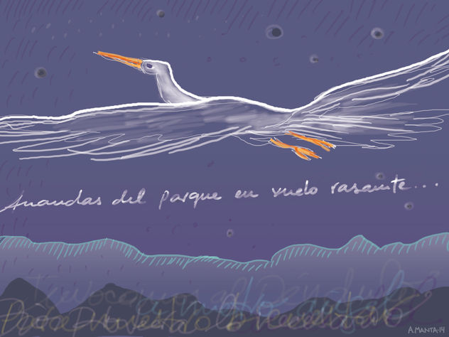Pájaro