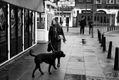 Amsterdam Moments (22) - Mujer con perro (1)