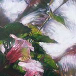 Flores thumbnail 1