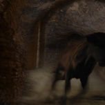 Mitologia thumbnail 1