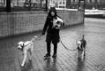 Amsterdam Moments (11) - Mujer con perros