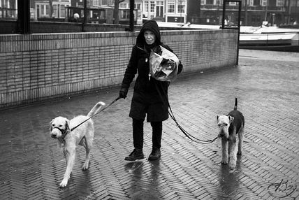 Amsterdam Moments...