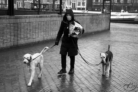 Amsterdam Moments...