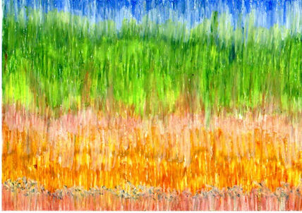 Campo