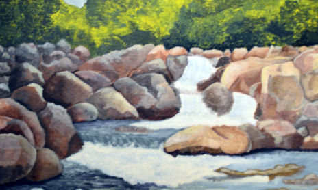 naturaleza viva