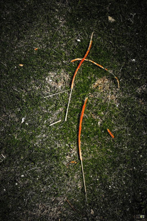 la poderosa fragilidad oriental / the powerful Eastern fragility