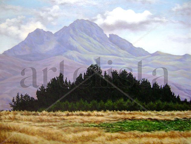 Volcán Rumiñahui Oil Canvas Landscaping