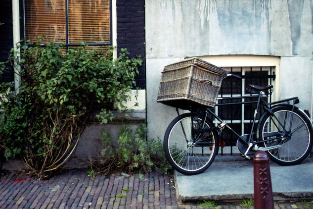 BICICLETA CON CESTA 