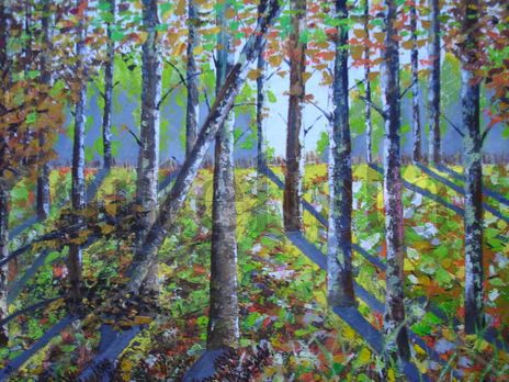 Bosque se luz