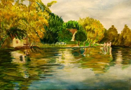 Reflejos del caraguata