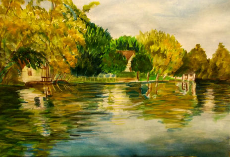 Reflejos del caraguata