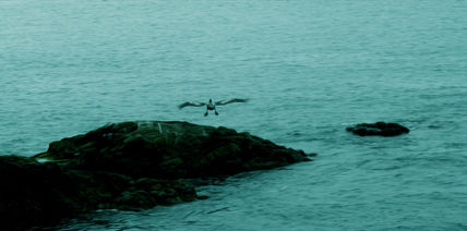 Paisaje Marino VII