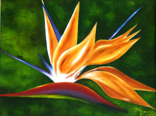 BIRD OF PARADAISE Oil Canvas Others