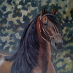 caballos thumbnail 1
