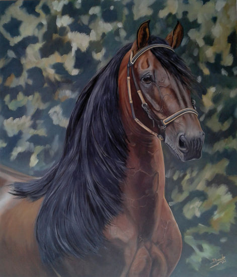 onix campeon mundial de trocha colombiana Oil Canvas Portrait