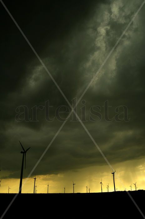 La locura del Quijote