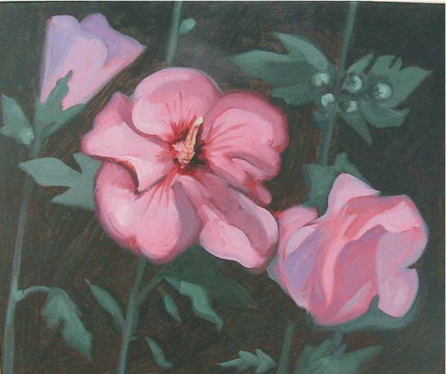 L´Entree au Paradis 10 (Hibiscus)