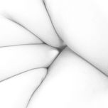 American Beauty thumbnail 2