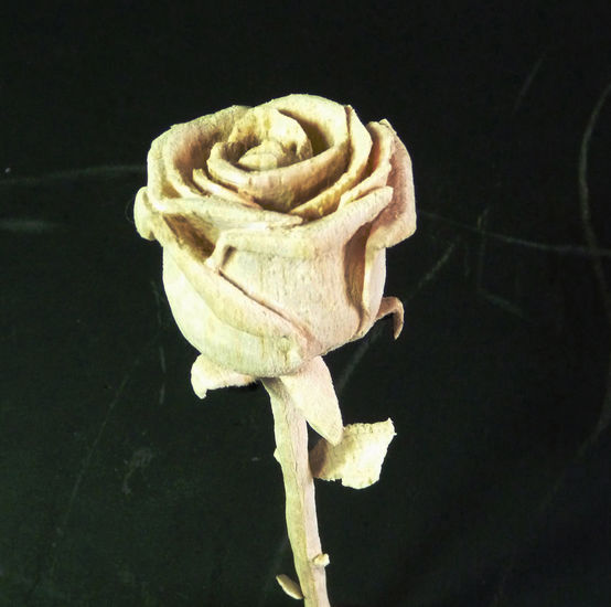 rosa de balsa Madera Figurativa