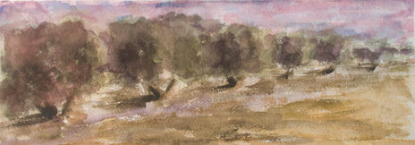 Olivos