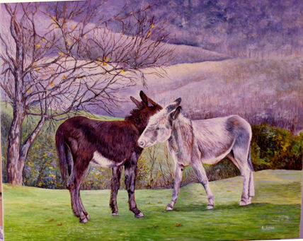 Burro oscuro y...