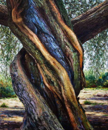 Tronco de olivo nº 7 /  Olive tree trunk nº 7 Oil Canvas Landscaping