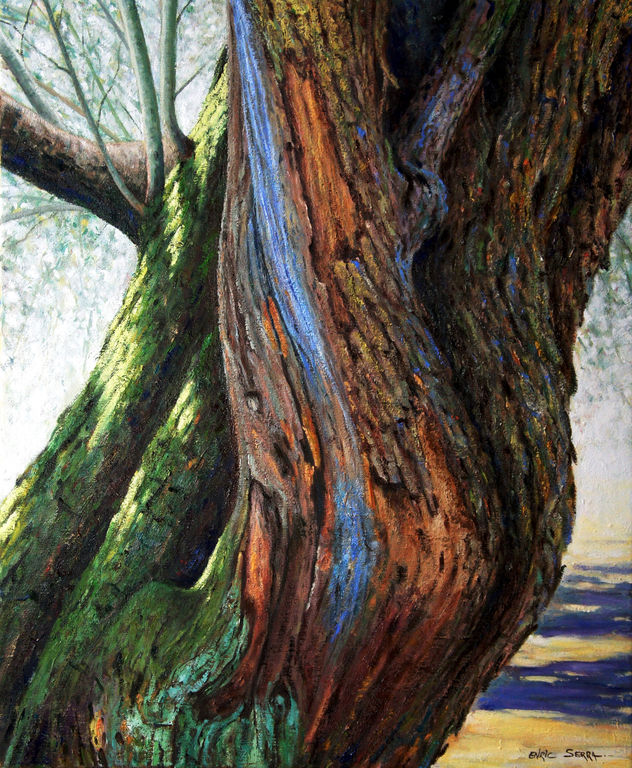 Tronco de olivo nº 8 / Olive tree trunk nº 8