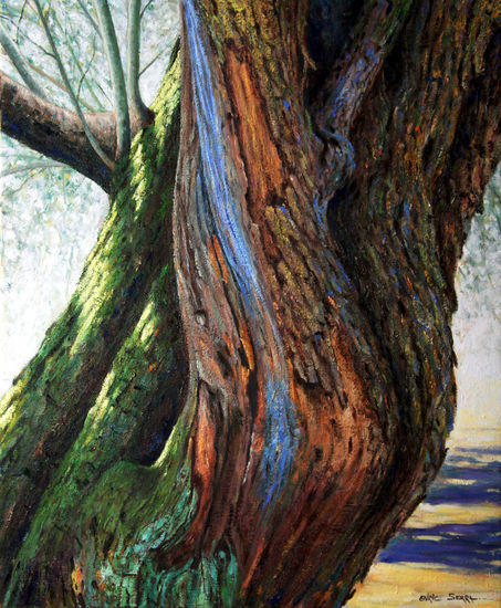 Tronco de olivo nº 8 / Olive tree trunk nº 8 Oil Canvas Landscaping