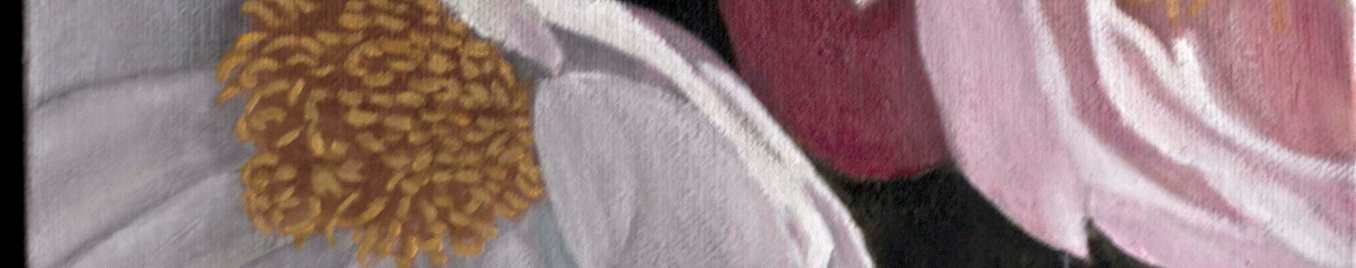 Imagen de portada