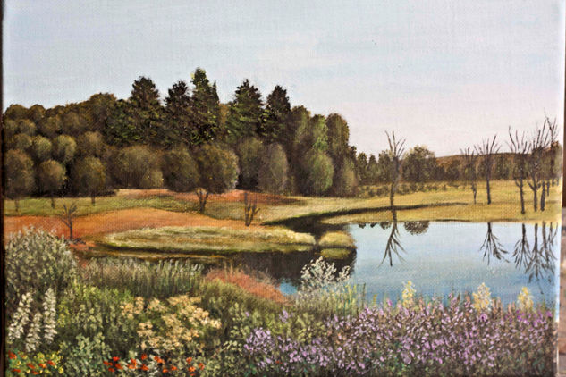 arboles y laguna Oil Canvas Landscaping