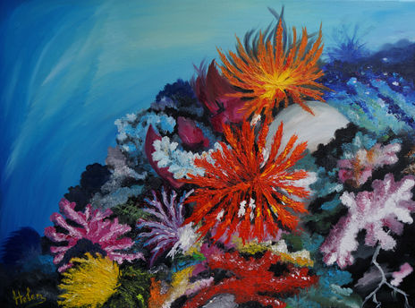 Colorful corals