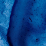 BLUE GENES thumbnail 1