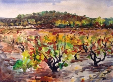 Viñas catalanas Watercolour Paper Landscaping