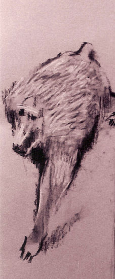 Animales/simios/bocetos mural 1998 Charcoal