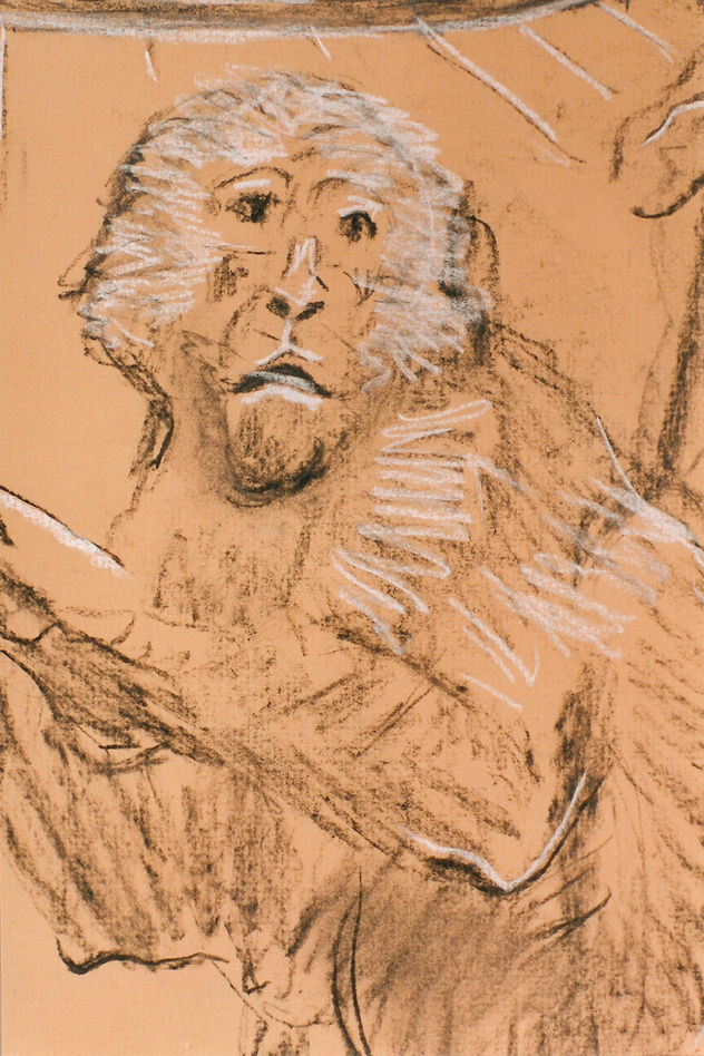 animales/simios/mural/1998