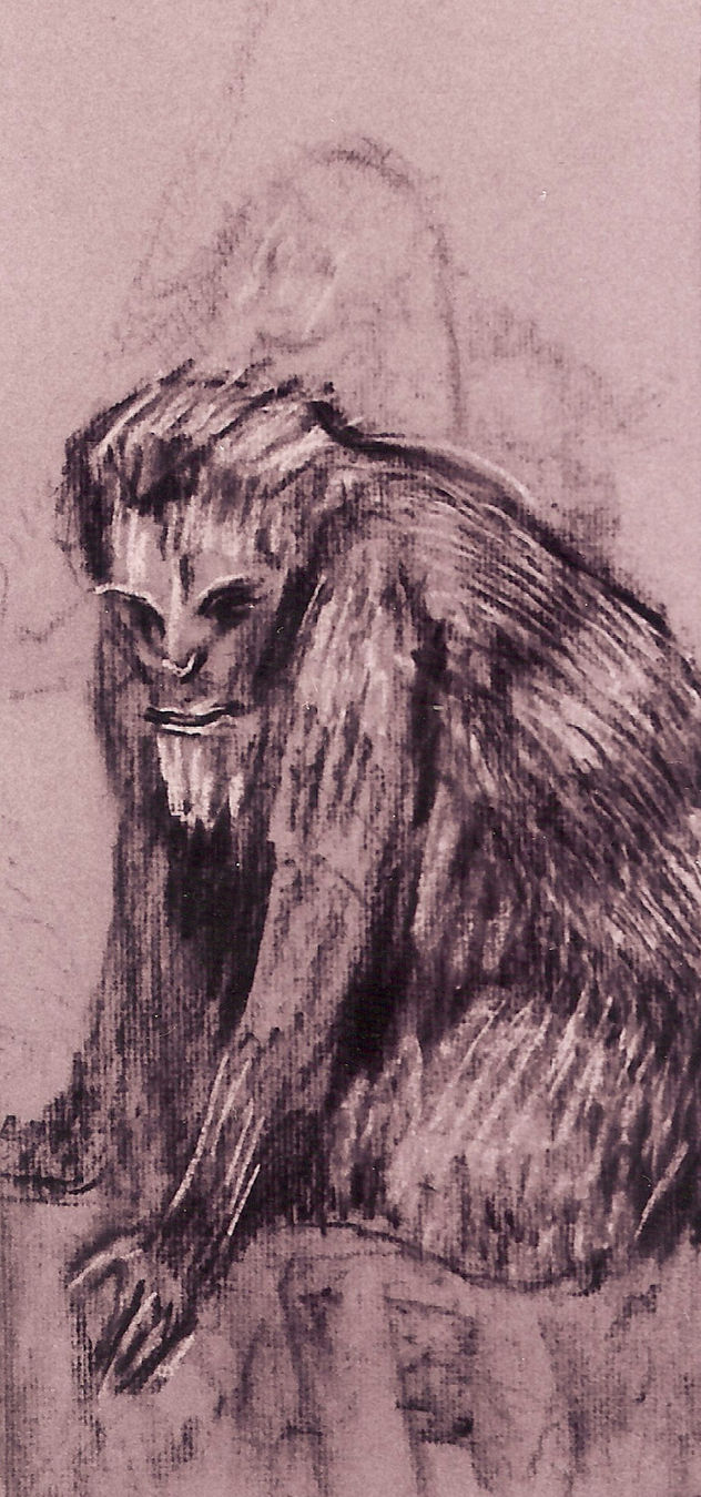 animales/simios/mural 1998