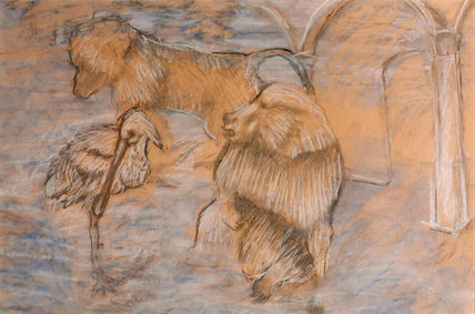 Animales/simios/mur...