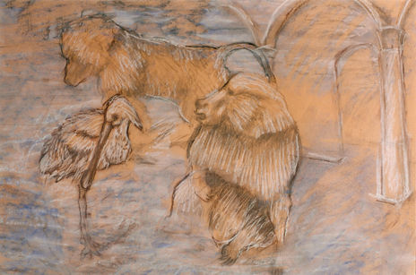 Animales/simios/mur...