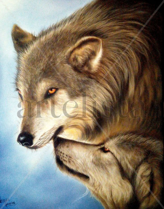 Lobos grises