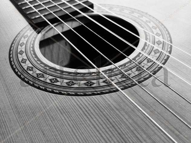 Spanish guitar