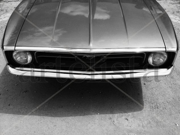 Mustang Otras temáticas Blanco y Negro (Digital)